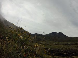 Ascensión al Volcán Casa Blanca – foto 8