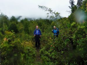 Trekking from Antillanca to Rupanco Lake – foto 6