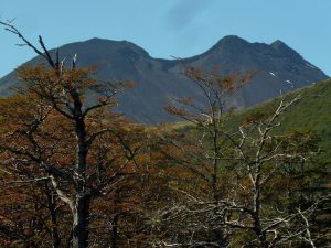 Trekking from Antillanca to Rupanco Lake – foto 3