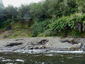 Trekking from Antillanca to Rupanco Lake – foto 4