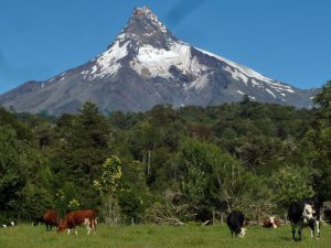 Crossing from Rupanco Lake to Todos Los Santos Lake – foto 5